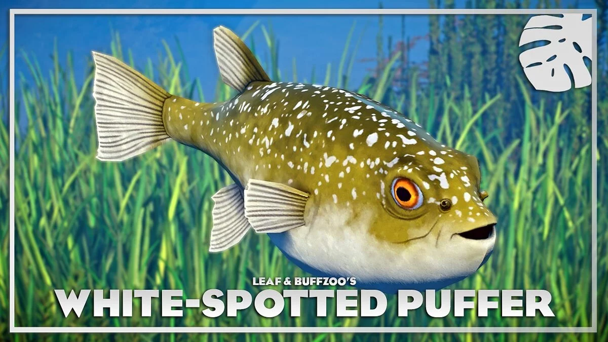 Planet Zoo — White-spotted puffer - new species