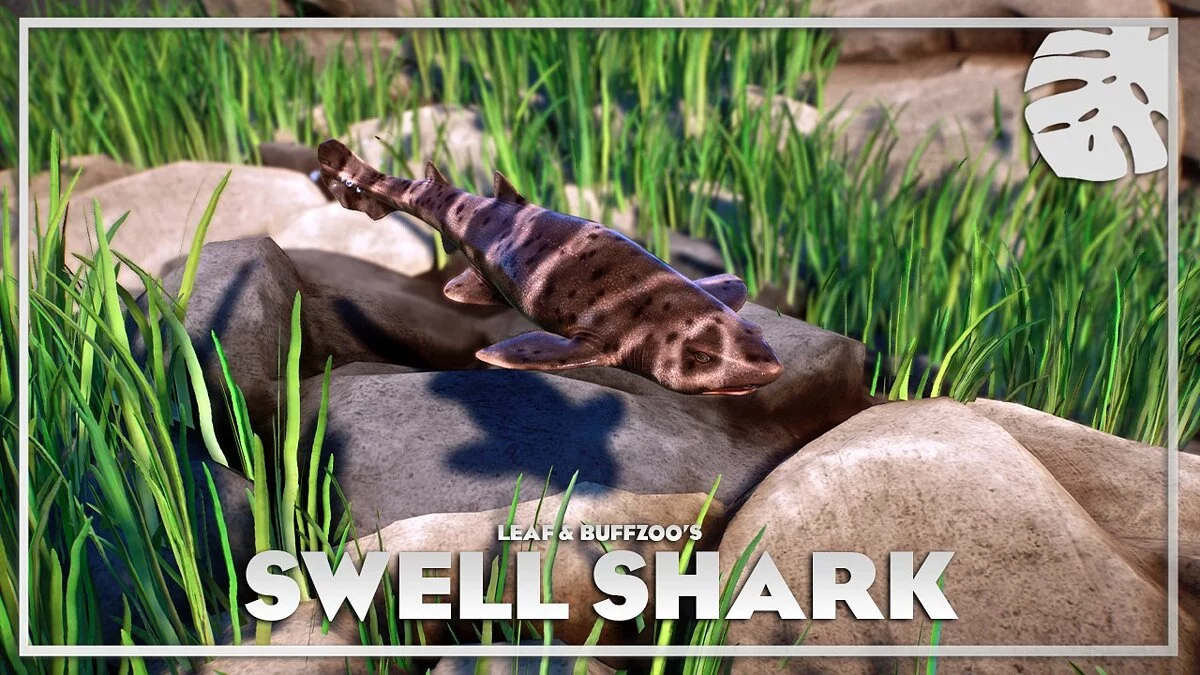 Planet Zoo — California bloat shark - new species