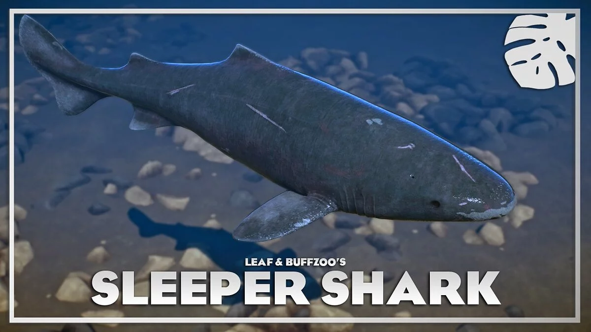 Planet Zoo — Pacific sleeper shark - new species