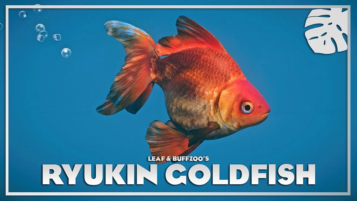 Planet Zoo — Ryukin goldfish - new species