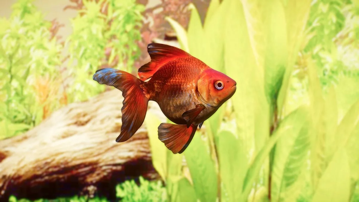 Planet Zoo — Рюкин золотая рыбка - новые виды