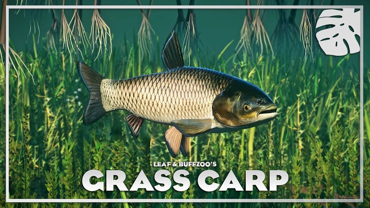 Planet Zoo — Grass carp - new species