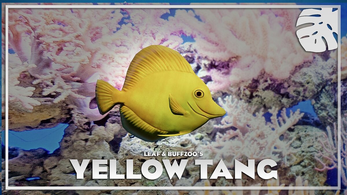 Planet Zoo — Yellow tang - new species