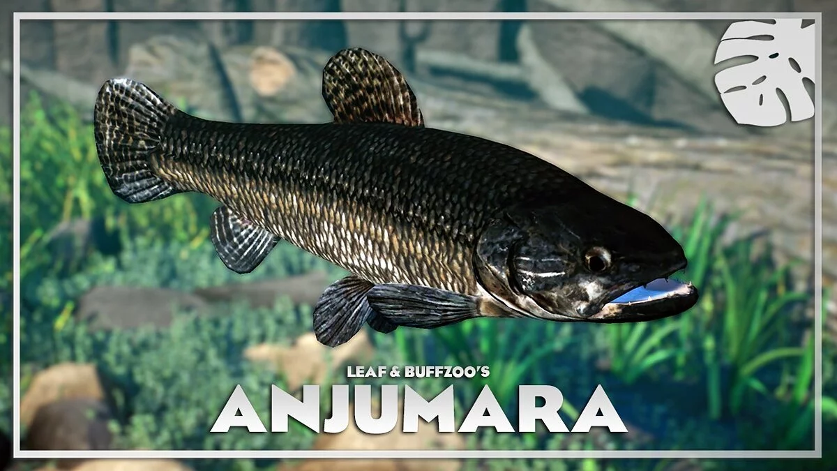 Planet Zoo — Anjumara - new species