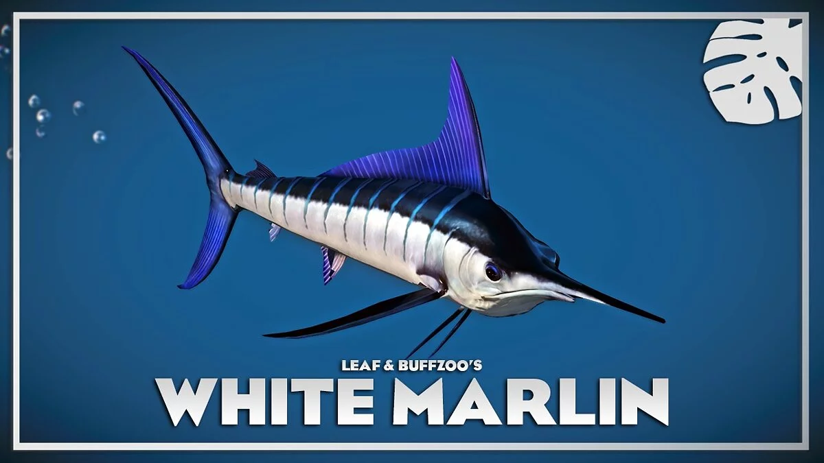 Planet Zoo — White marlin - new species