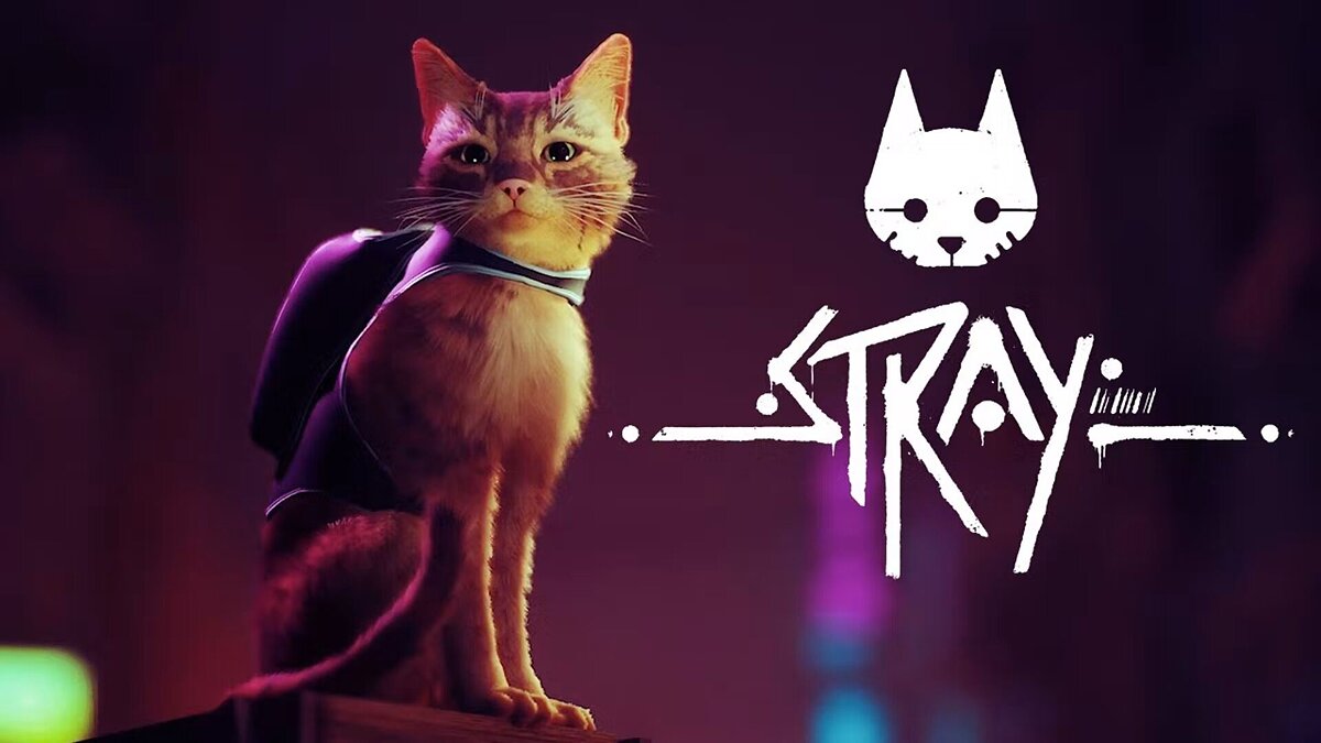 Stray — Saving - 100% completion