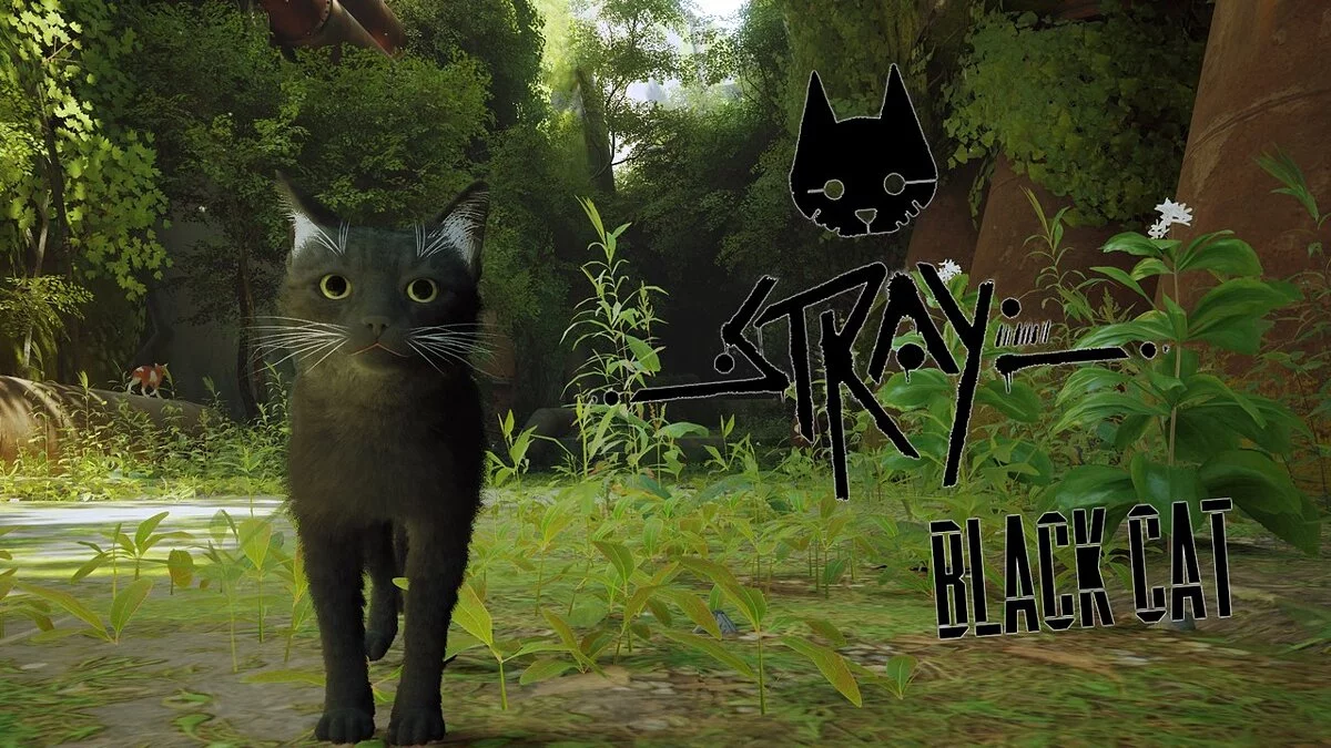 Stray — Gato negro con bigotes blancos.