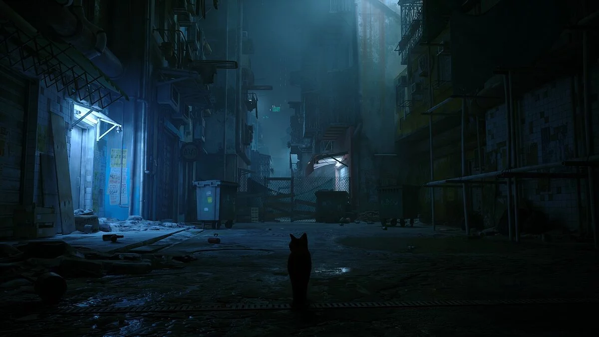 Stray — Яскравий решейд