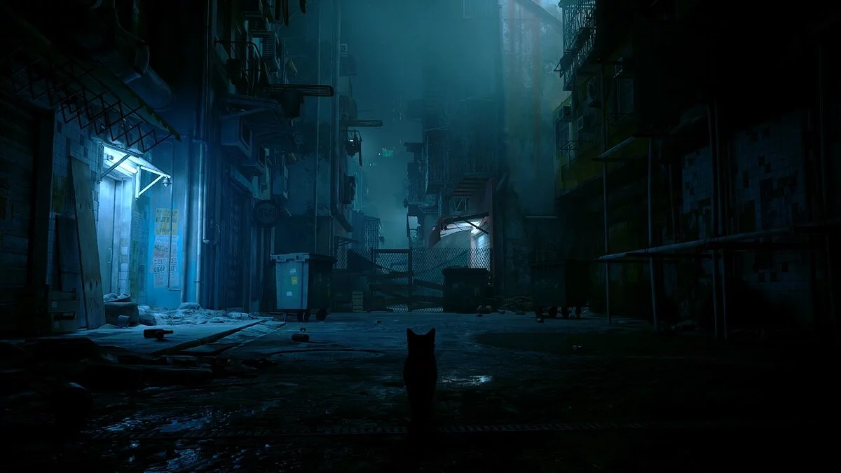 Stray — Яскравий решейд