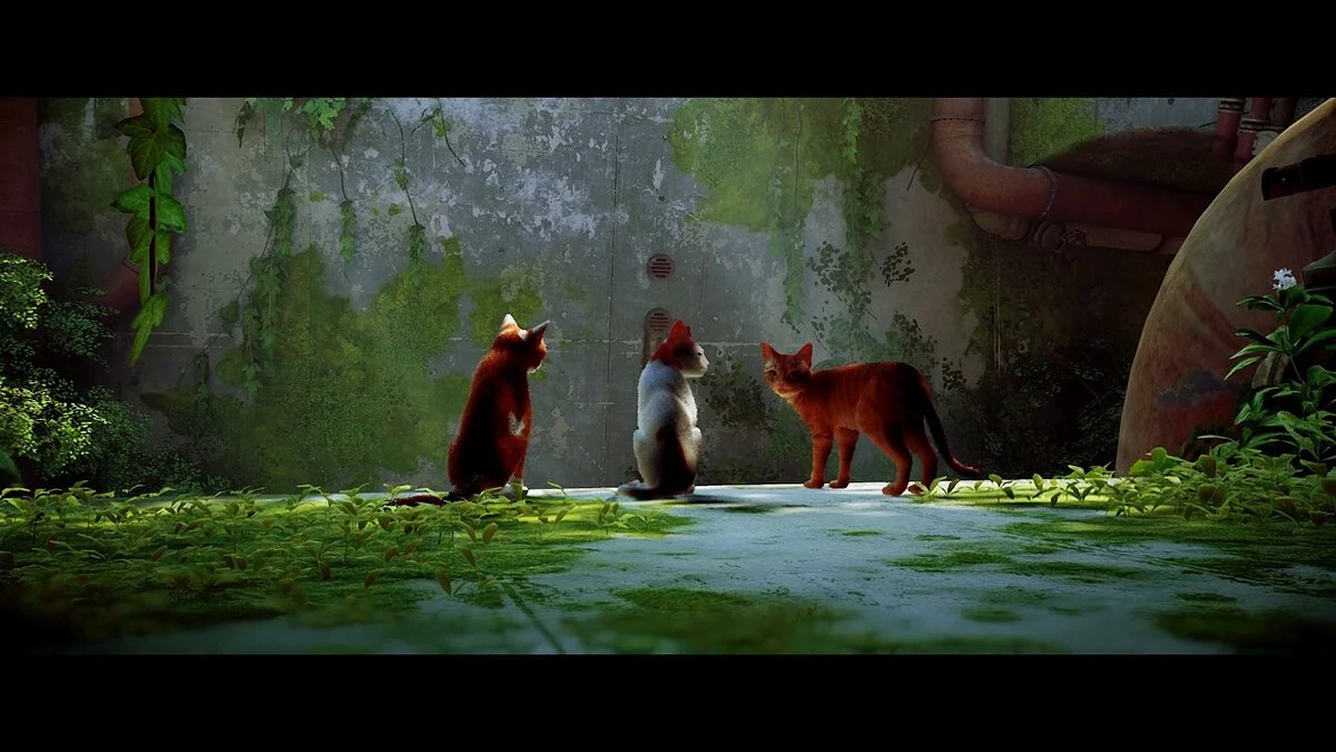 Stray — Яскравий пресет решейда