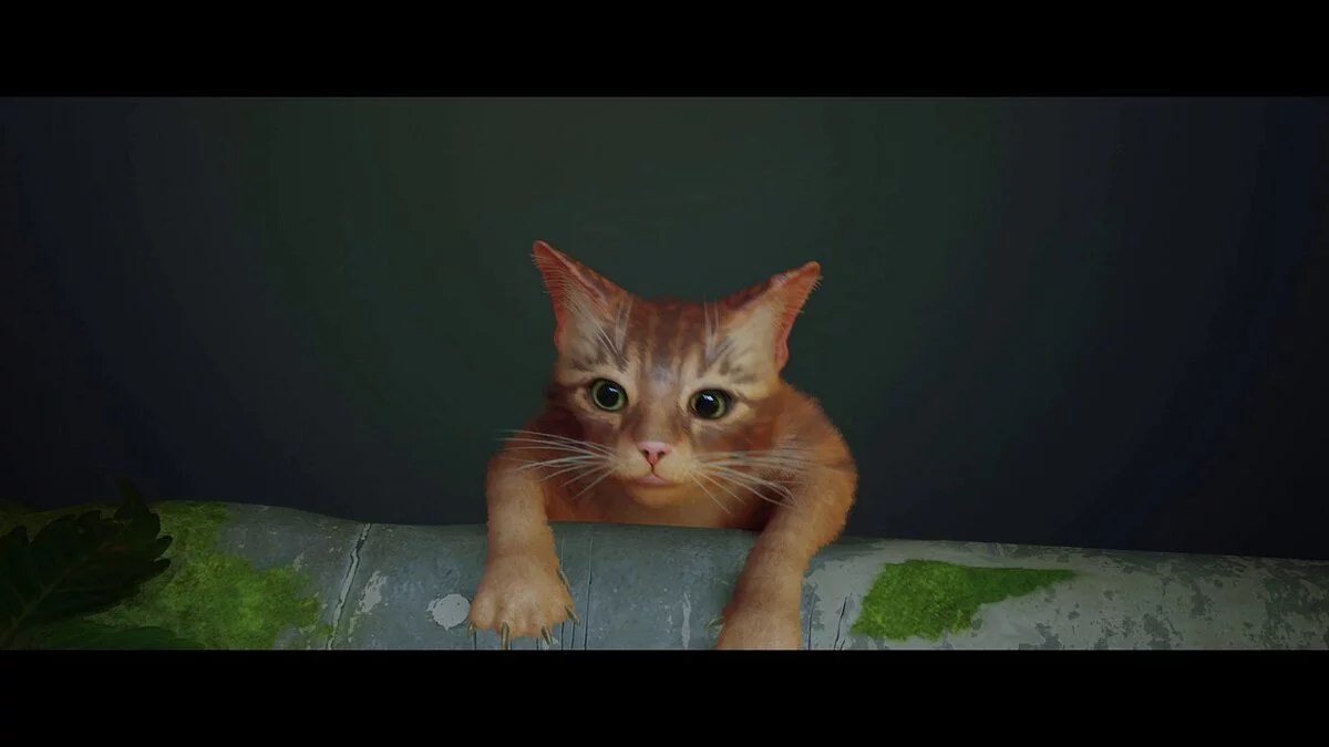 Stray — Яскравий пресет решейда