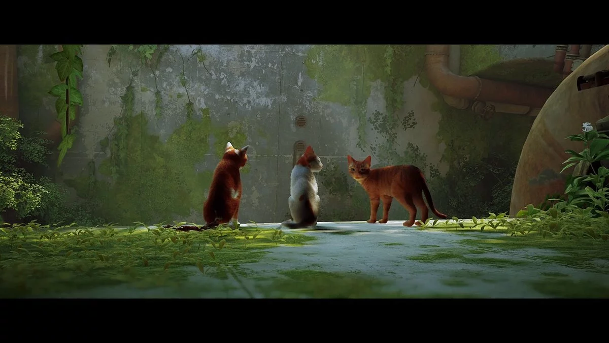 Stray — Яскравий пресет решейда