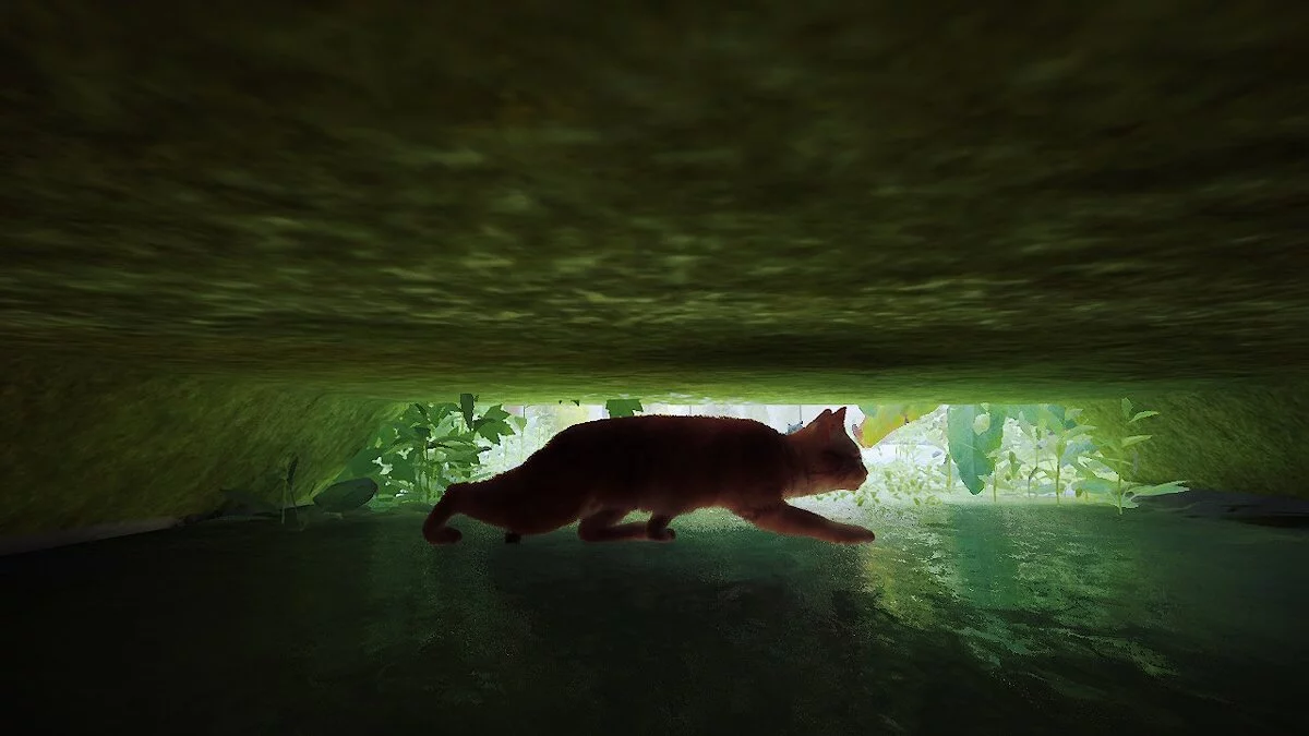 Stray — Природний відтінок