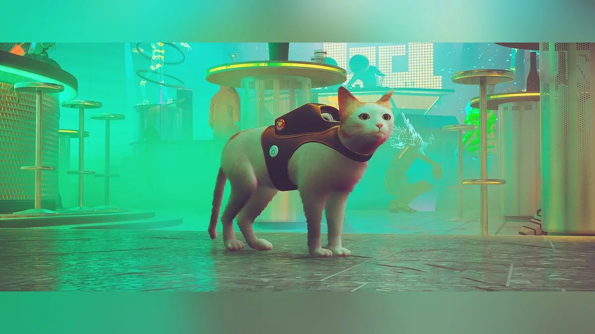 Stray — Білий кіт з помаранчевими плямами