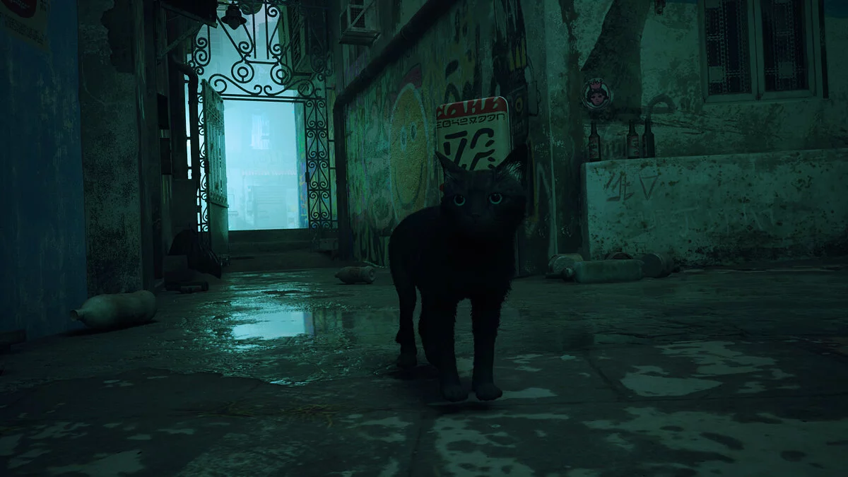 Stray — Чорний кіт з чорними вусами та блакитними очима