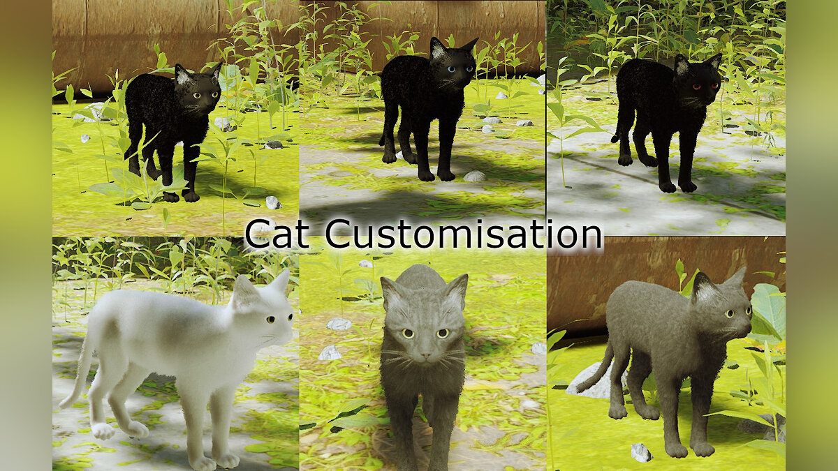 Stray — Cat customization