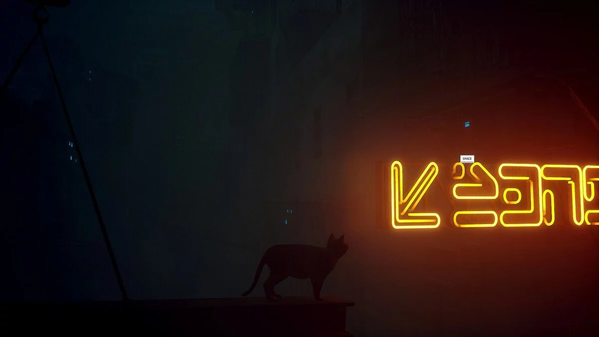 Stray — Трохи товстий кіт