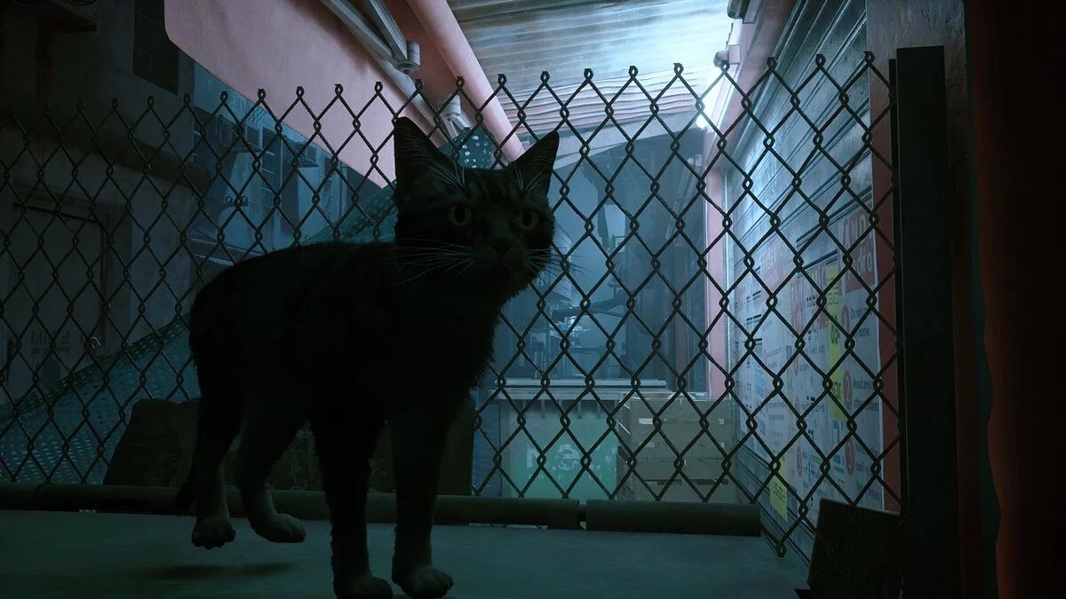 Stray — Сірий кіт з чорними плямами та оранжевими очима