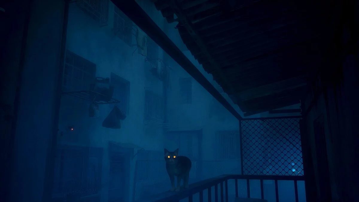 Stray — Світні котячі очі