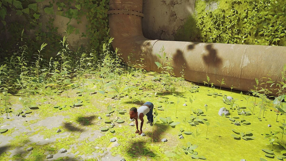 Stray — CJ вместо кота