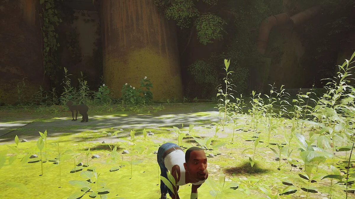 Stray — CJ вместо кота