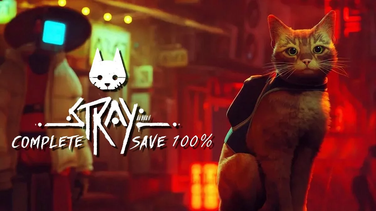 Stray — Todo pasó al 100 por ciento.