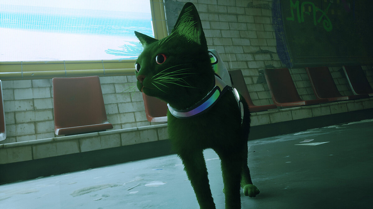 Stray — Green cat with red eyes