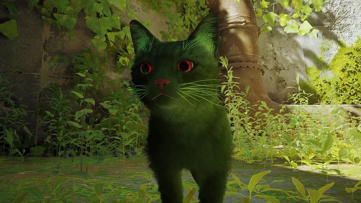 Stray — Gato verde con ojos rojos.