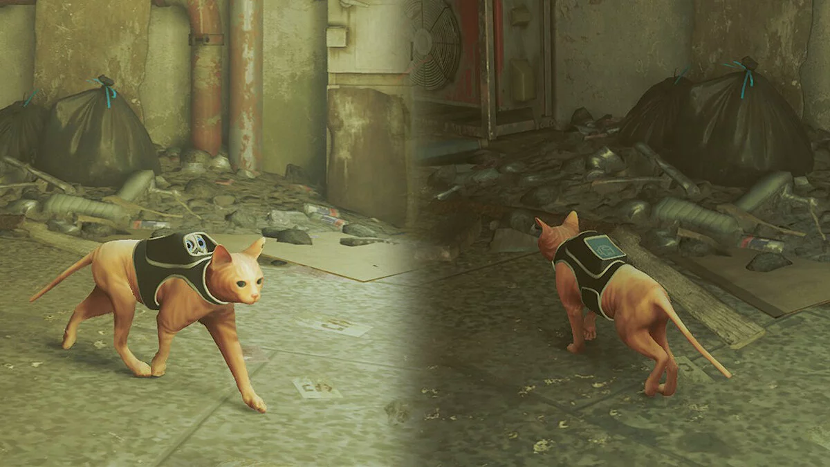 Stray — Кошка «Сфинкс»