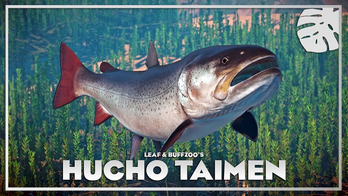 Planet Zoo — Hucho taimen - New species