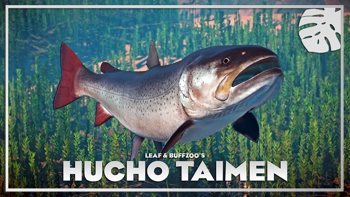 Planet Zoo — Hucho taimen - Nueva especie