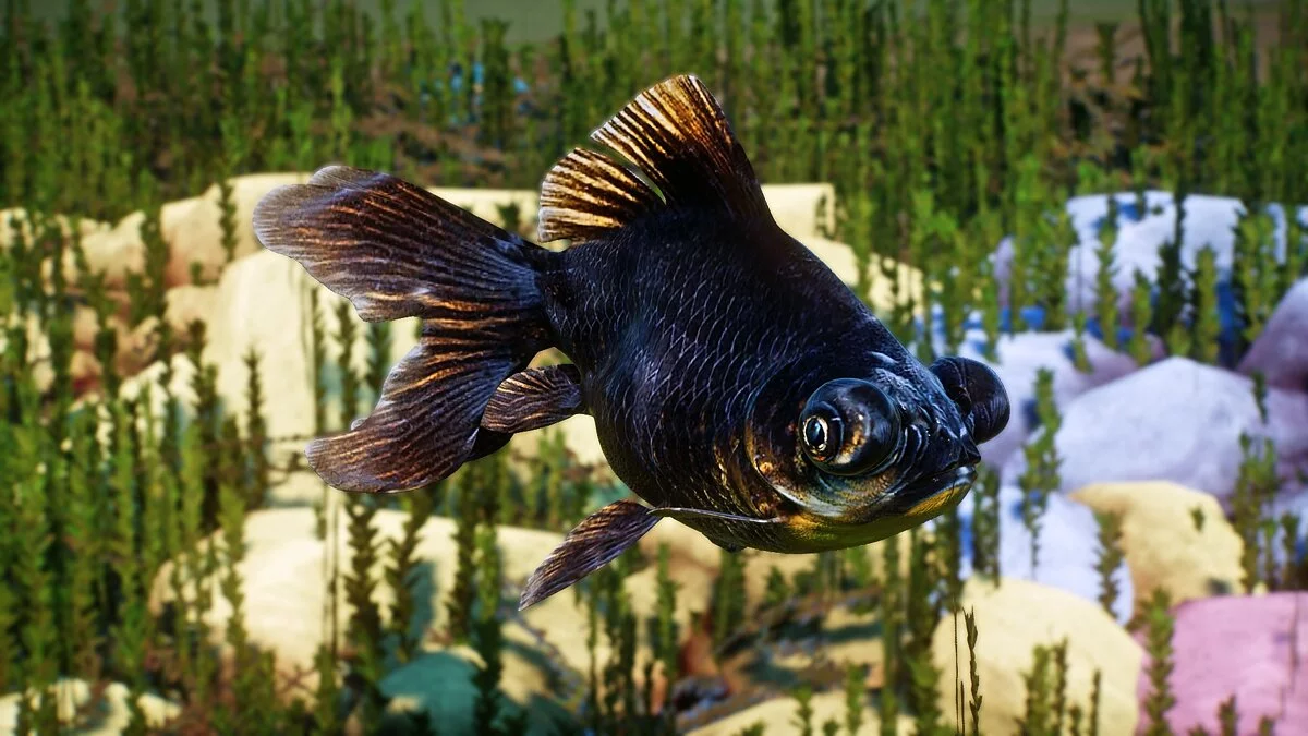 Planet Zoo — Золота рибка чорного мавра - нові види