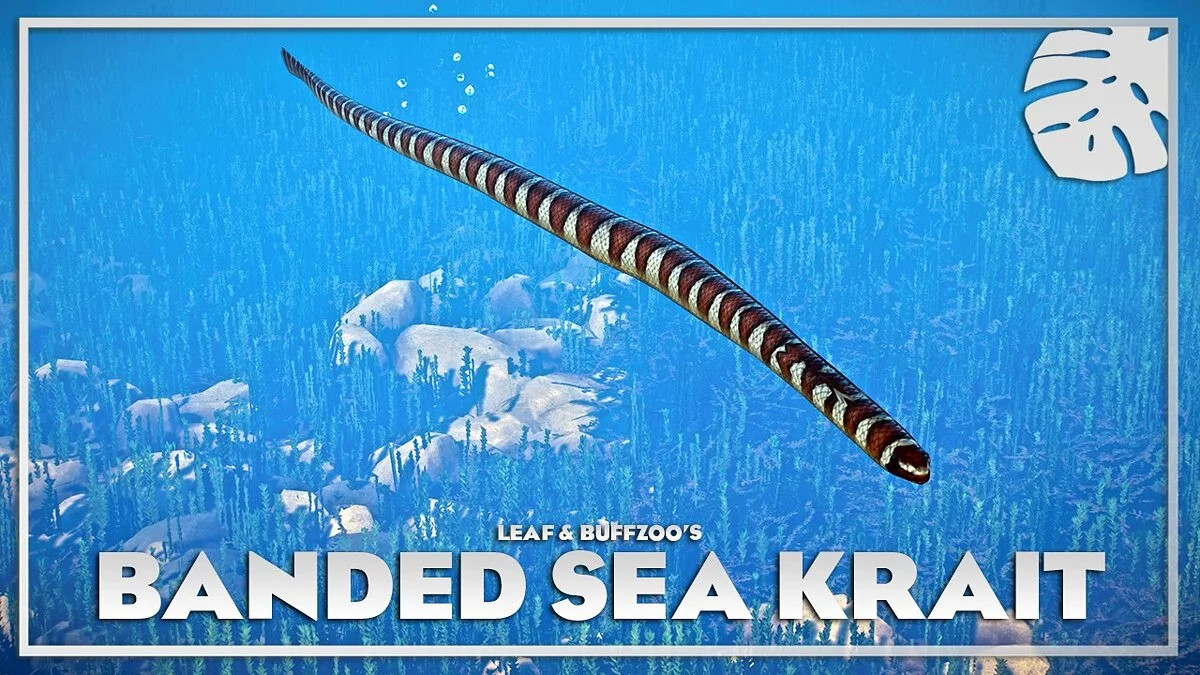 Planet Zoo — Krait de mar anillado - nueva especie