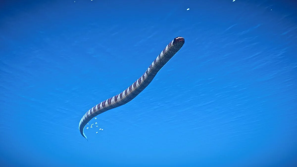 Planet Zoo — P