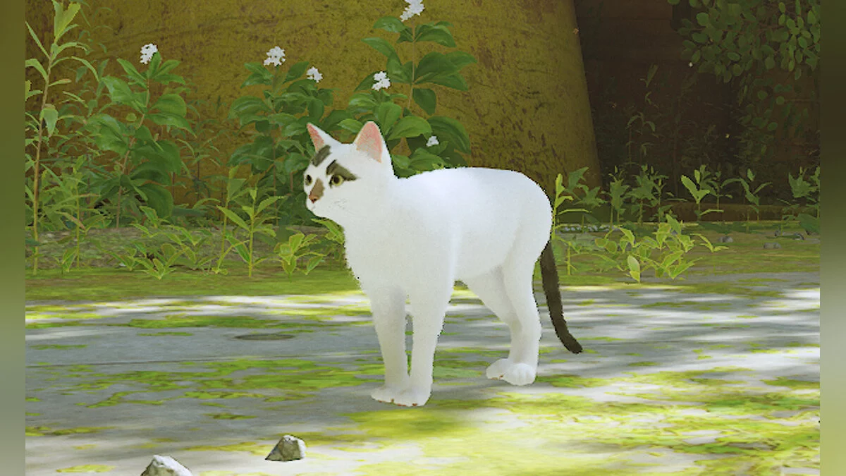 Stray — Розфарбування кота «Белла і Честер»