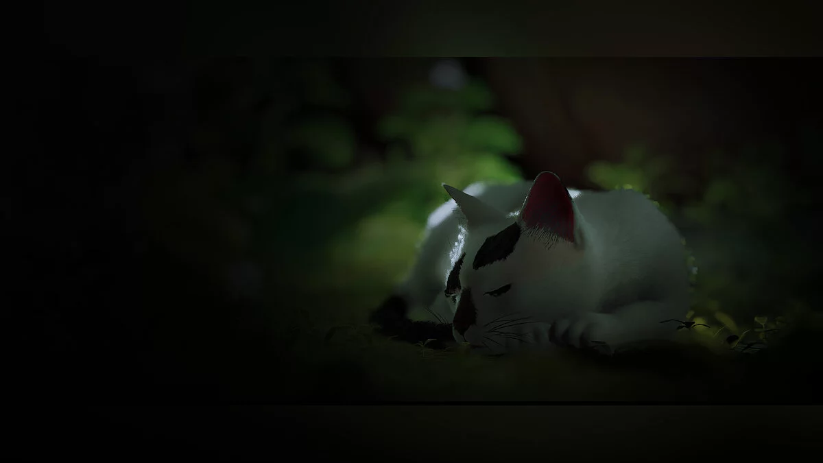 Stray — Розфарбування кота «Белла і Честер»