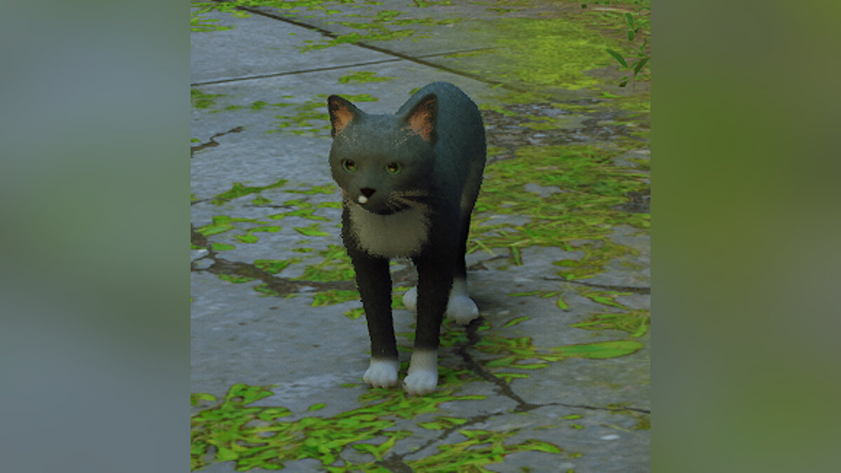 Stray — Gizmo - cat retexture