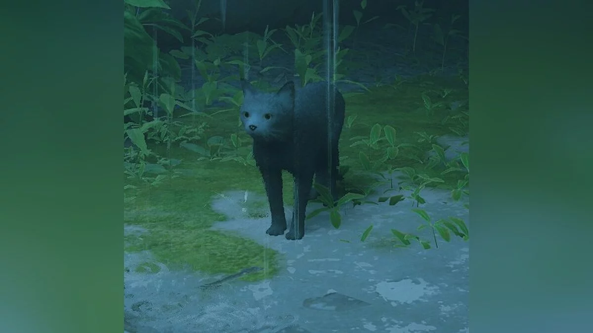 Stray — Еббі - вигляд гравця