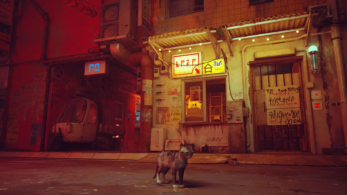 Stray — Горбун (Бездомний кіт)