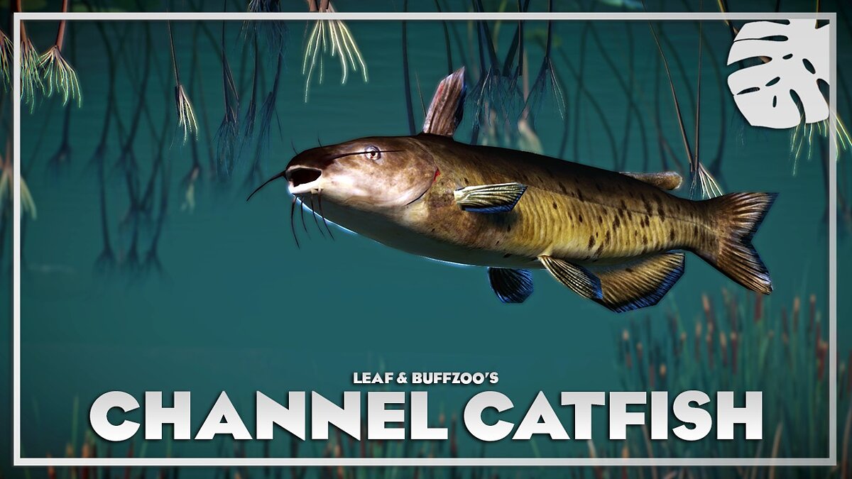 Planet Zoo — Channel catfish - new species