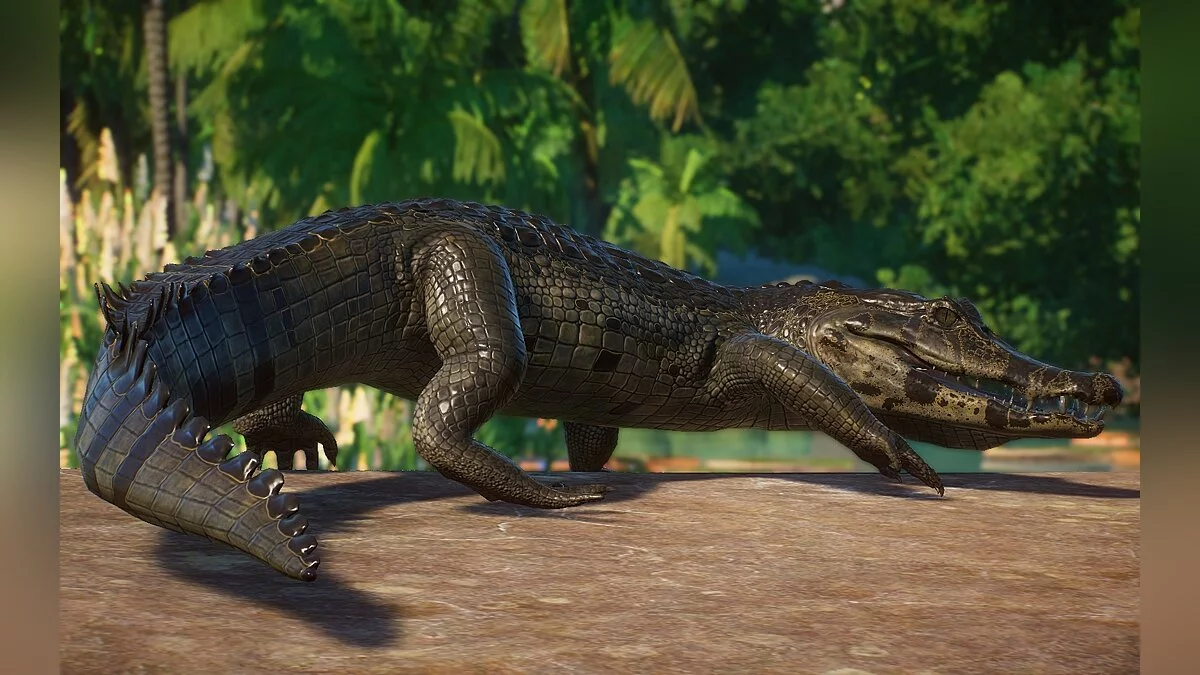 Planet Zoo — Якаре Кайман - Новые виды