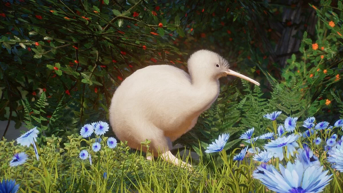 Planet Zoo — Коричневий ківі північного острова - нові види