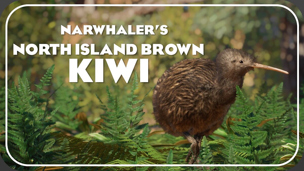 Planet Zoo — North Island brown kiwi - new species