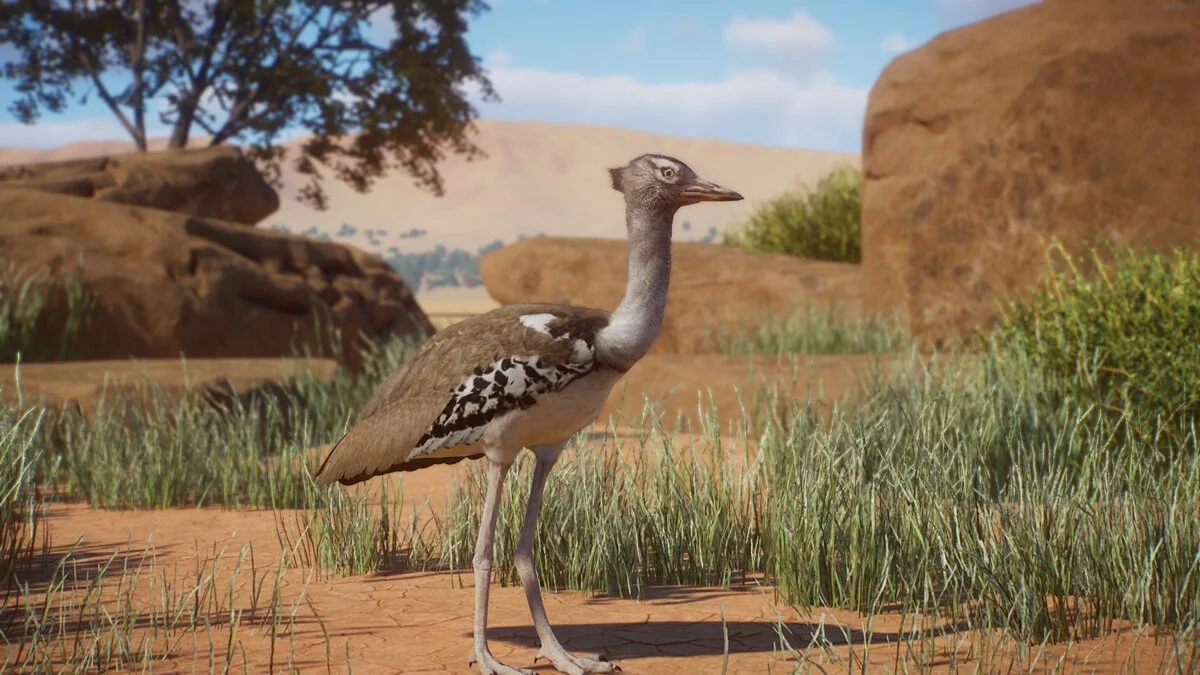 Planet Zoo — Кори Дрофа - нові види