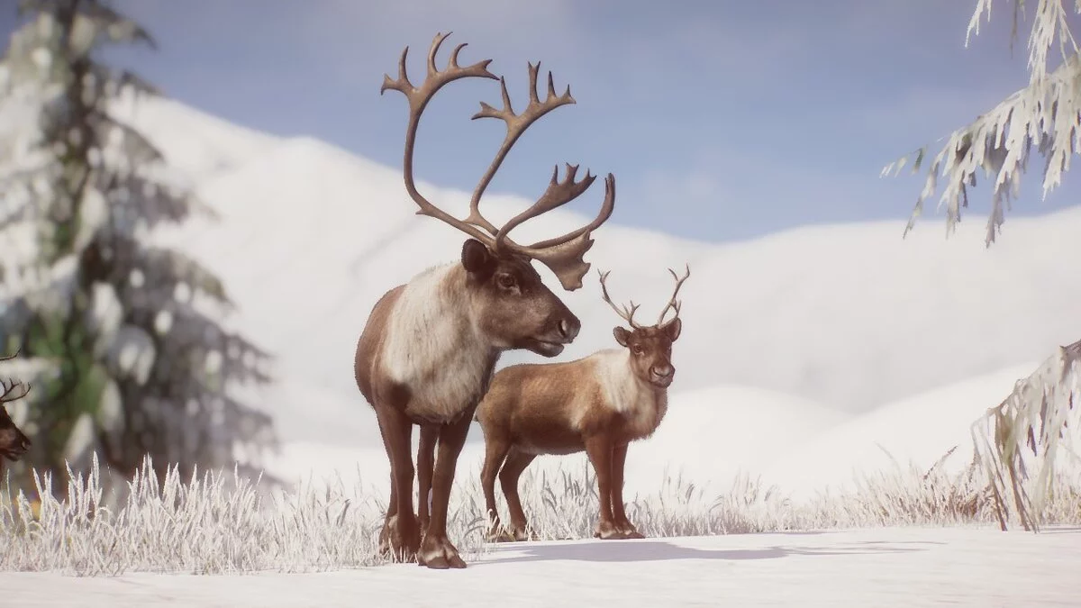 Planet Zoo — Ремайстер північного оленя