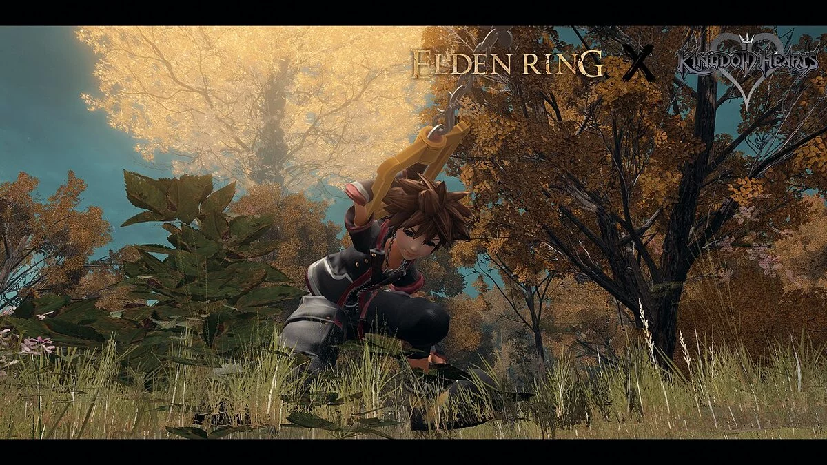 Elden Ring — Сора з ключем з гри Kingdom Hearts