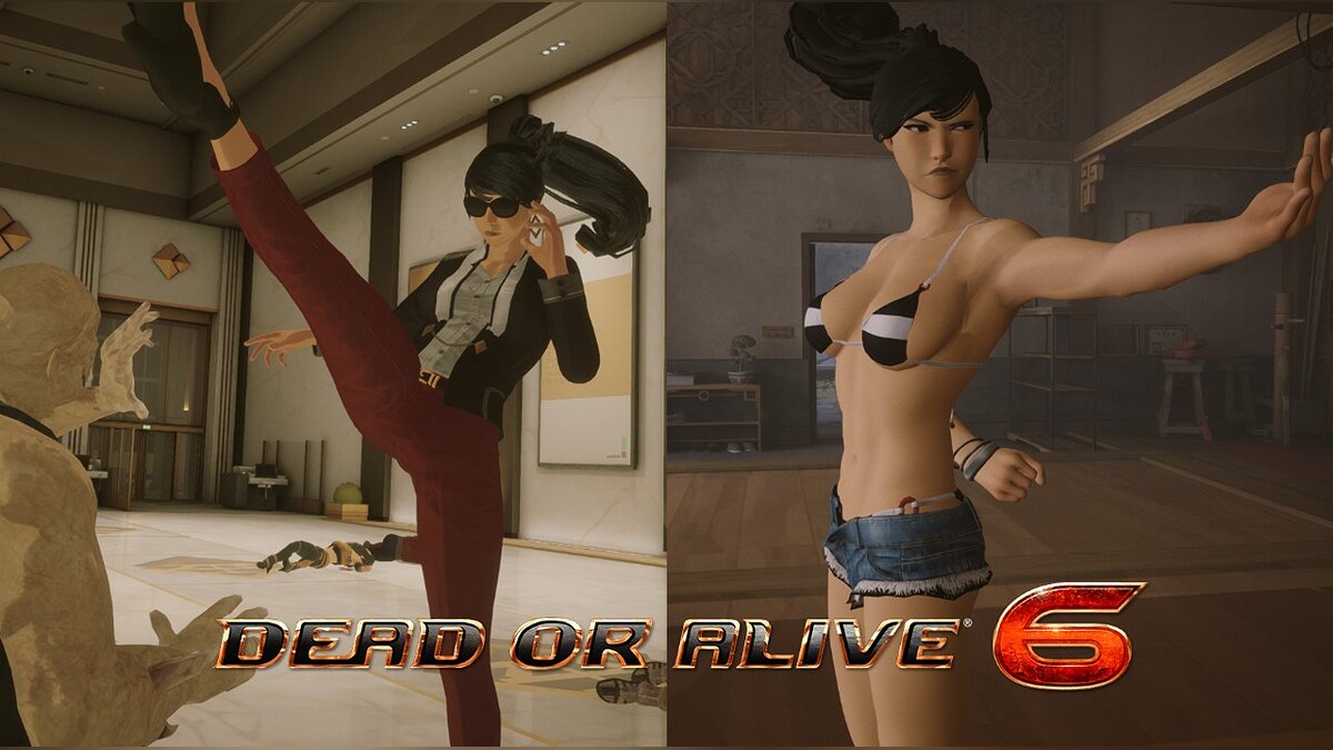 Sifu — Lisa from the game Dead or Alive 6