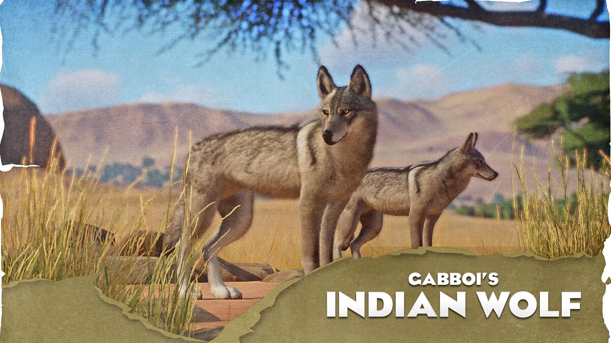 Planet Zoo — Indian wolf - new species