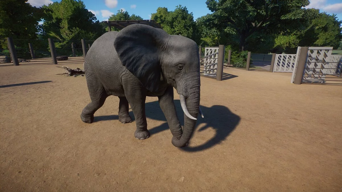 Planet Zoo — African elephant remaster