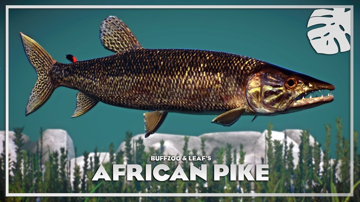 Planet Zoo — African pike - a new species